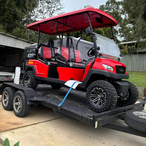 2025 voiturettes de golf ordinaires moteur 4 temps propre utilisé nouveau prêt à l'emploi bon prix en vente avec essence comme carburant de remplacement - Product Image 1