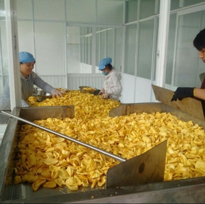 Chips de Jaca Seca Vietnamita Premium, Fritos al Vacío, Sabor Dulce Natural, Snack Saludable, OEM, Marca Privada, Suministro a Granel - Product Image 5
