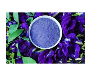 Flor de Clitoria Ternatea Seca de Alta Calidad de Granjas Vietnamitas - Azul Vibrante y Sin Aditivos, Flor de Clitoria Ternatea para Exportación - Product Image 2