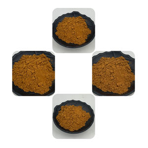 Menyediakan 15% hingga 99% salenin putih bubuk ekstrak kulit Dedalu 10:1 - Product Image 2