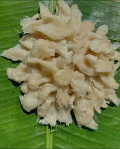 SOURSOP SÉCHÉ DE QUALITÉ SUPÉRIEURE/BONHEUR DE FRUIT PUR - Product Image 3