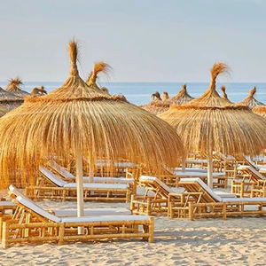 열대 티키 우산 독점 히트 핫 스타일 베트남 디자인 스타일 저렴한 천연 해초 초 지붕 우산 - Product Image 2