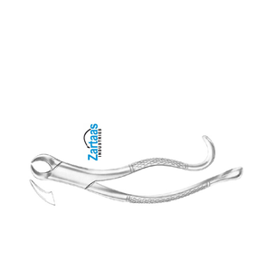 Fórceps de Extracción Dental de Acero Inoxidable de Alta Calidad para Molares Inferiores, Figura 16, Exportadores y Fabricantes - Product Image 5