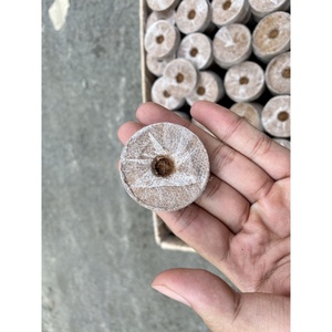 เม็ดมะพร้าวอัดเม็ดธรรมชาติสำหรับเพาะเมล็ด100% เมล็ดมะพร้าวแท้คุณภาพสูงพร้อมส่งออกจากประเทศเวียดนาม Eco2go - Product Image 4