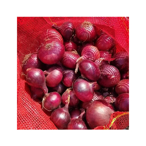 Cebollas Rojas frescas de calidad alimentaria de exportación de origen egipcio-Ampliamente vendidas naturales y deliciosas para compra a granel - Product Image 1