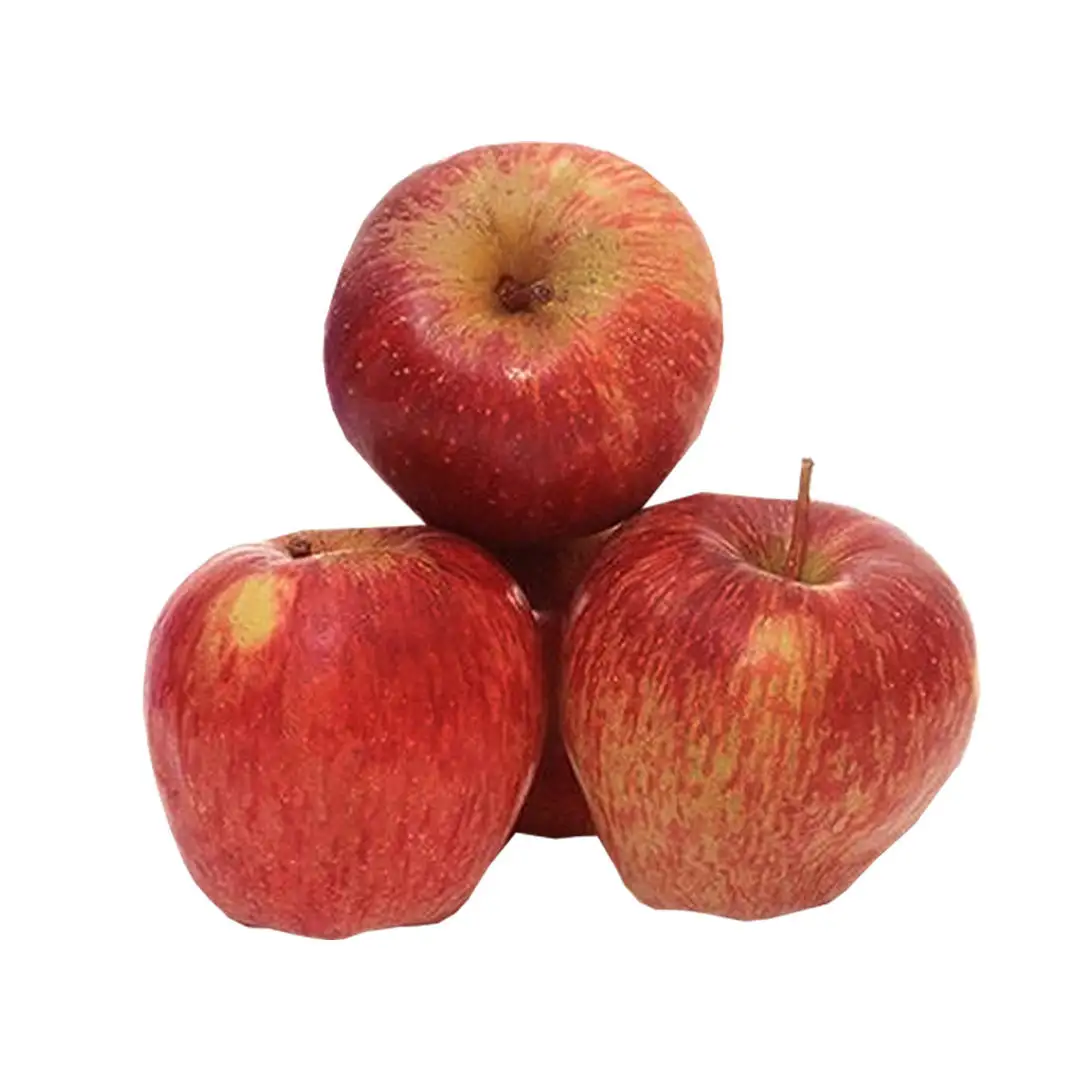 Apel hijau emas lezat Royal Gala, apel dengan harga murah ekspor seluruh dunia