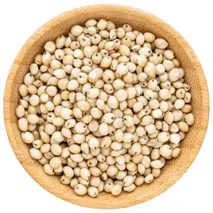 Fabricante indiano de produto mais vendido de 2022 grão sorghum a granel branco sorghum a preço acessível