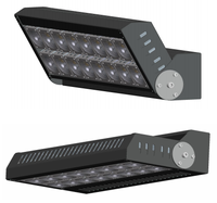 Module LED pour éclairage de tunnel, étanche IP66, 100W 200W, projecteur LED extérieur haute luminosité pour tunnel, stade, autoroute, éclairage de chantier