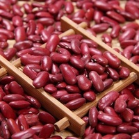 Haricots rouges exportés, légers et mouchetés, de haute qualité, à prix abordable
