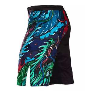 กางเกง MMA หลายสไตล์ให้เลือก ชุดศิลปะการต่อสู้ ขายดี ราคาถูก คุณภาพสูง กางเกงมวยไทย กางเกงกีฬาชกมวย - Product Image 4