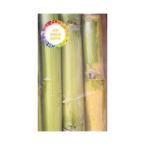 Meilleure vente de tiges de canne à sucre congelées IQF du Vietnam pour la fabrication de jus et l'utilisation de l'industrie des boissons alimentaires - Product Image 1