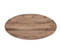 Table à manger élégante et durable 180 Mango Rough Collection, meubles de maison ovales en métal pour entrepôt de ferme, salle à manger, hôtel