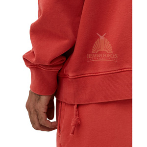 Sudadera con capucha de lana personalizada para hombre, conjuntos de sudadera y pantalones cortos de pareja, ropa de entrenamiento para correr, tamaño personalizado, característica de logotipo personalizado de primavera - Product Image 4