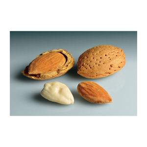 Amandes crues en coque, séchées, qualité alimentaire, prix bas, origine Autriche, qualité A, durée de conservation de 2 ans, service OEM/ODM - Product Image 2