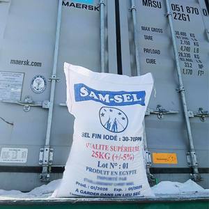 SAM SEL Sel de table raffiné iodé fin 25 kg 100 % naturel en poudre certifié ISO et HACCP Sel de mer Celtique en vrac en sac - Product Image 5
