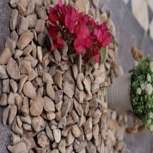 Rainforest Brown Extra Small Natural Stone Cobbles Intérieur Extérieur Aménagement Paysager Enhancers pour Salle de Bain Extérieur Inde Application - Product Image 3