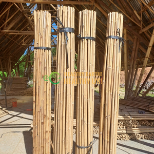 Estacas de Bambú Eco2go Vietnam, Color Bambú Natural, Diseño Moderno y Simple, Soporte para Plántulas, Plantas en Maceta, Jardinería - Product Image 4