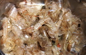 ARTICLE CHAUD 2024/COQUILLE DE CREVETTES VIETNAMIENNES POUR L'ALIMENTATION DES ANIMAUX | INGRÉDIENTS NATURELS PURS - Product Image 3