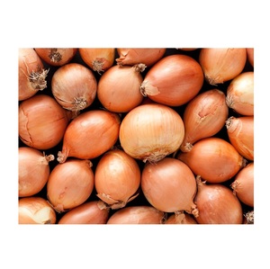 Oignon frais à vendre à prix avantageux, oignon frais chinois de haute qualité, oignon jaune frais - Product Image 5