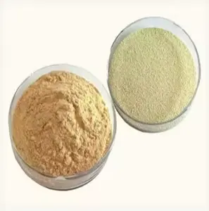 High Protein Dry Yeast Powder 60% Animal Feed for Livestock Nutrition