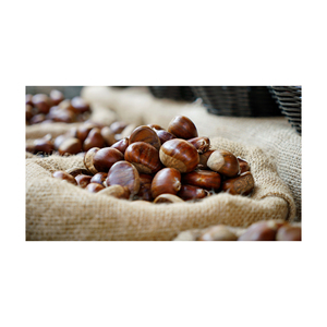 Châtaignes crues en vrac disponibles pour un usage commercial dans les industries culinaires et de la boulangerie - Product Image 3