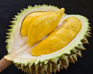 Durian de haute qualité du Vietnam: Vente en gros de produits frais et congelés pour l'exportation - Product Image 6