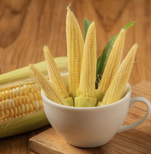 Maíz bebé congelado vietnamita: calidad superior para los mercados globales - Product Image 1