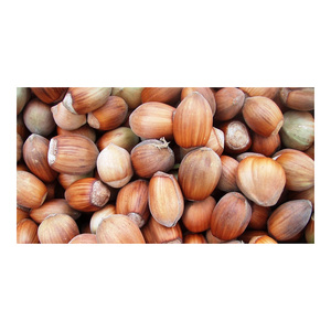 Noix de qualité supérieure en gros à vendre à prix avantageux - Product Image 3
