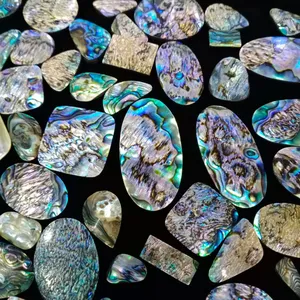 Stupefacente meraviglioso di Abalone naturale guscio di gemma sfusa di forma mista di gemma di alta qualità per la realizzazione di alta gioielleria