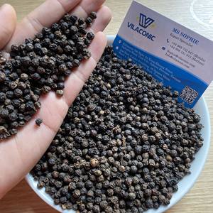 Venta al por mayor directa de fábrica pimienta negra vietnamita Venta caliente 500G/L 550G/L 600G/L Semilla de hierba fresca especias limpieza FAQ grado WhatsApp - Product Image 3