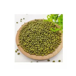 緑の緑豆卸売高品質BUIK発芽
