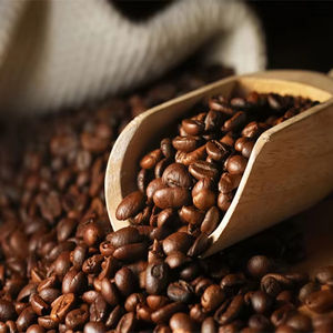 Café Molido Tostado Arábica de Alta Calidad, Especialidad de Vietnam, 100% Natural, Certificado por el USDA, Marca TNFOOD, Grado G1/G2, Lam Dong - Product Image 1