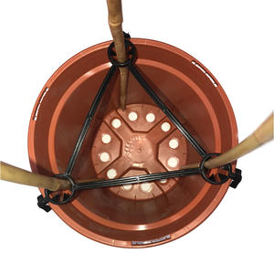 Abrazadera de tutoría de plantas para macetas de vivero 17 Cm-Abrazadera piramidal de plástico duradero - Product Image 2