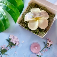 2024 Nouvel An Cadeau Valentine Coffret Cadeau Huile De Noix De Coco Fleur Savon 100g Plumeria Fleur Parfum Produit de Thaïlande