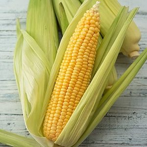 Maíz Amarillo de Alta Calidad de AL, EE. UU., 2 Años de Vida Útil, Grado Alimenticio, Preparado para Exportación y Envío Rápido - Product Image 2