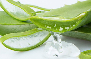 TOP VENTAS AL POR MAYOR PURE DE ALOE VERA CALIDAD PREMIUM JUGO DE HIERBAS CONGELADO NATURAL EXPORTACIÓN A GRANEL LISTO PARA ENVIAR - Product Image 5