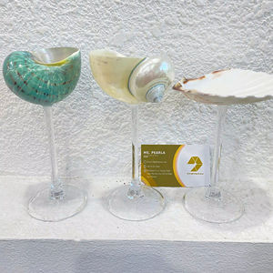 2025 nouveau fait à la main écologique Martini coquillage verre conque tasse à vin naturel plage fête de mariage décor de fête de mariage - Product Image 1
