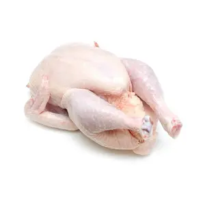 Poulet entier congelé/gésiers/cuisses/pieds/pattes/pilons