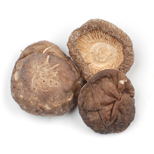 Hongos Shiitake Crudos Cultivados Orgánicamente 10 kg Secos - Product Image 1