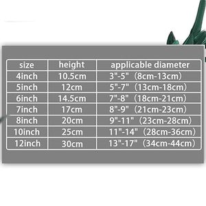 Nouveauté Support en métal robuste pour une présentation décorative et fonctionnelle, assurant un placement sécurisé et un soutien équilibré - Product Image 2