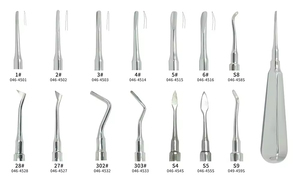 Elevador más barato Raíz dental Elevador recto y curvo Elevadores de raíz de Cirugía Dental de acero inoxidable de alta calidad - Product Image 2