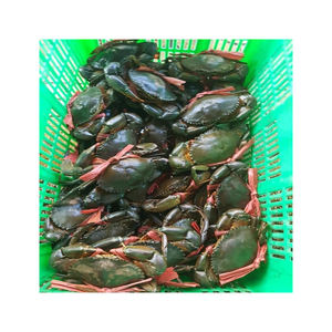 Frozen Crab Meat Steaks Fresh Mud Crab Food <b>Seafood</b> Snacks Item Box Packaging Food and Beverage Kind - Product Image 3