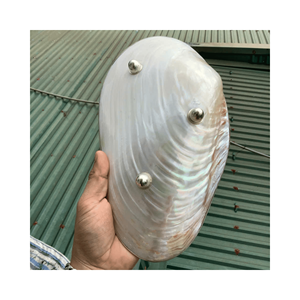 Bandeja de nácar hecha a mano, plato de nácar natural sobre base de madera para exhibición de joyería y decoración de mesa, artesanal hecho en Vietnam - Product Image 1