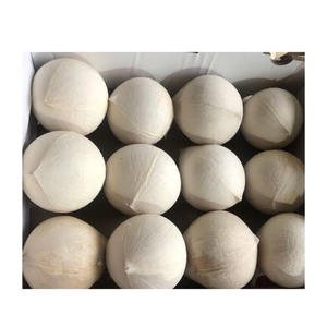 Cao Cấp Việt Nam Bán Husked Dừa Cho Xuất Khẩu Toàn Cầu Ngọt Ngào Và Ngon Ngọt Lâu Dài Tươi - Product Image 6