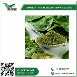 Poudre de Feuilles de Spinache Vertes Déshydratées 99% Pures, Séchées par Pulvérisation, Qualité Alimentaire, 25 KG pour la Cuisine - Product Image 6