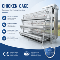 Système de cage à poules automatique de type H pour l'élevage de volailles, équipement d'élevage pour poules pondeuses