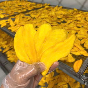 Mangue jaune de haute qualité, séchée à l'air, au goût naturel et offre spéciale pour les acheteurs en gros - Product Image 4