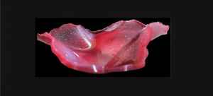 Tazón de Resina de Lujo Hecho a Mano, Tazón Decorativo de Primera Calidad, Apto para Alimentos, para Decoración del Hogar Contemporánea, Precio de Mayoreo - Product Image 5