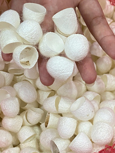 White <b>Silkworm</b> Cocoon Raw Silk for Exfoliation and DIY Decorative Crafts - Product Image 3