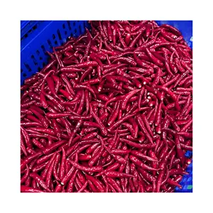 Großhandel Frozen Cryo-Preserved Red Chilli IQF Chillies erfreut Gewürze für kulinarische Exzellenz Keine Chemikalie